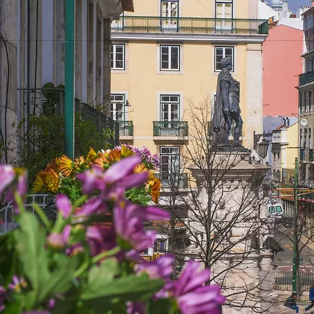 Casinha Flores Lisboa