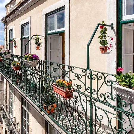 Vendégház Casinha Flores 3*