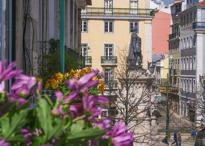 Casinha Flores Lisboa