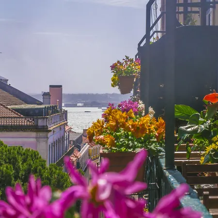 Casinha Flores Πανσιόν Lisboa