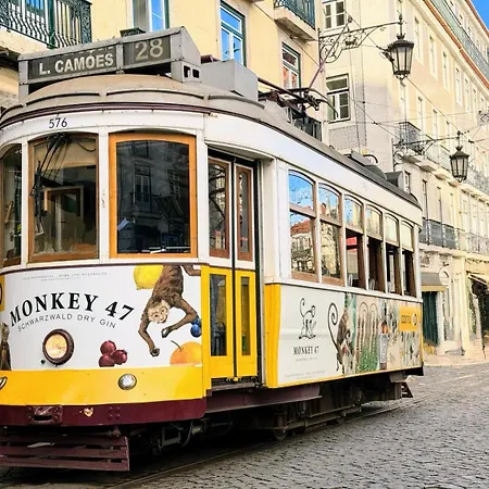 Πανσιόν Casinha Flores Lisboa